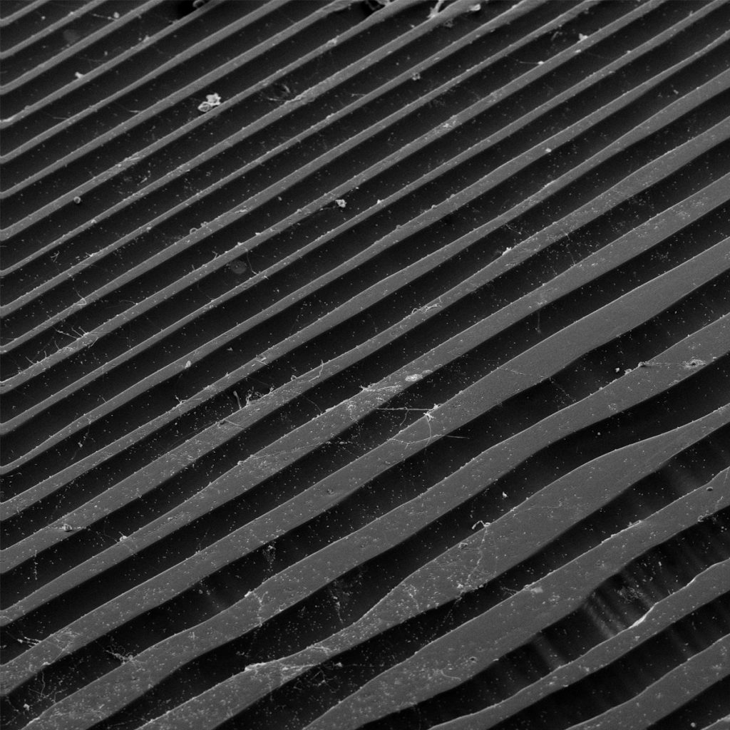 Unmodulated Groove