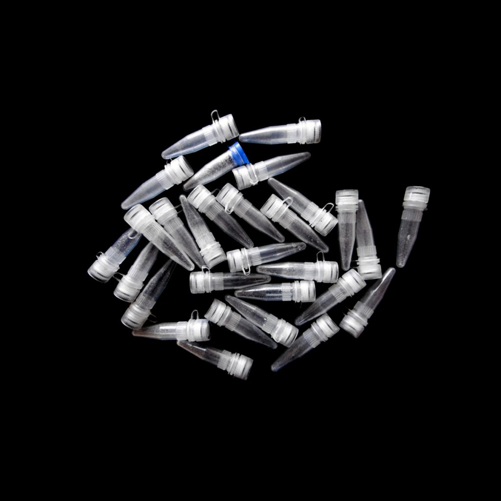 Protected: Berlin Bullets